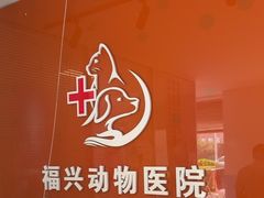 -瑞派福兴宠物医院犬猫全科·骨科·中西医结合(河东店)