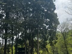 -青城山