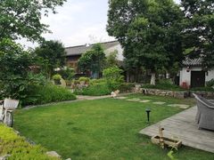 -田园东方蜜桃村的田野营地