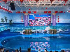 -多彩贵州城极地海洋世界