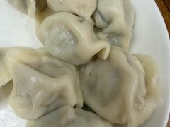 莲藕猪肉饺子-山东水饺(南坪新街店)