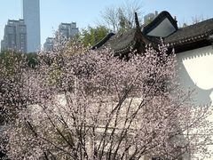 -江宁织造博物馆