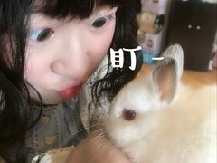-藦茜花园宠物主题亲子互动体验馆(国顺东路店)