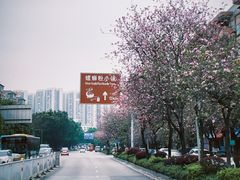 -西环肥仔螺蛳粉(总店)