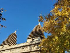 -北京石刻艺术博物馆(五塔寺)