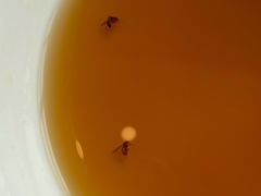 -北京园博大酒店