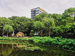 -陈家山荷花公园