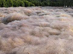 -华山御温泉度假村