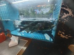 -浔味·山屿湖·正宗淳牌全鱼宴老字号
