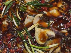 -乡土特色.冷锅鱼.牦牛肉汤锅