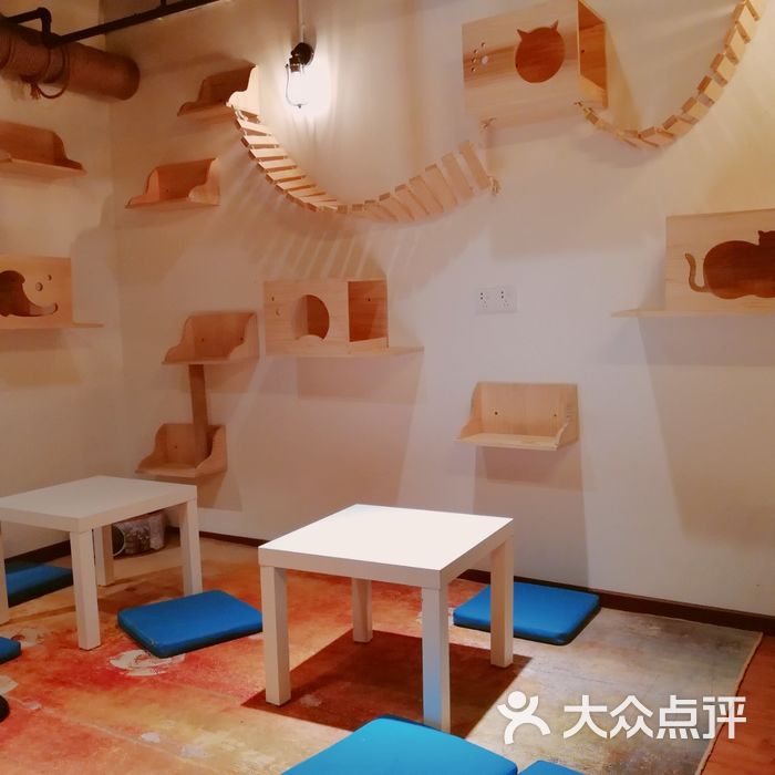 神它喵goditcat-猫咖啡馆