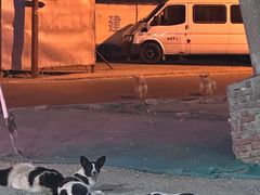 -地桌烤肉(顺白路店)