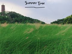 -红花山公园