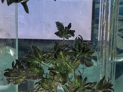 -太奥幻太奇海洋馆