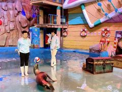 -烟台海昌鲸鲨海洋公园