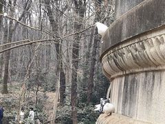 -音乐台
