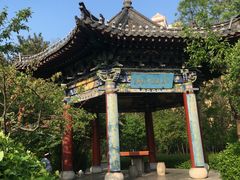 -迎泽公园