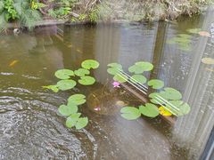 -鼓浪屿钢琴博物馆