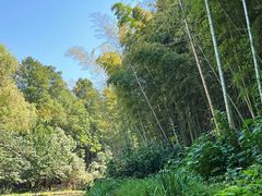 -同里国家湿地公园