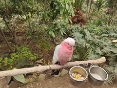 -南宫五洲植物乐园