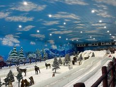 -世界之窗阿尔卑斯冰雪世界