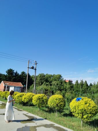 公主岭市第五中学2条评价公主岭市高中公主岭市第一中学7条评价公主岭