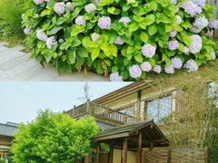 -诗经里