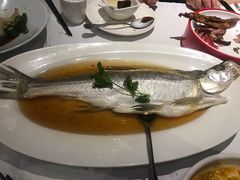 -上海1号私藏菜(静安店)