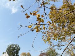 -钟山体育运动公园