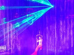 -芜湖新华联大白鲸海洋公园