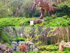 -佛冈森波拉度假区