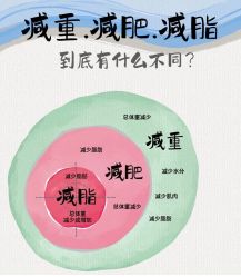-Fundi张玉珊修身堂·indiba·BTL科技瘦身