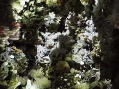 -湖南省地质博物馆