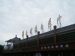 -白洋淀景区