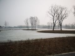 -大兴滨河森林公园