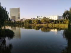 -大兴滨河森林公园