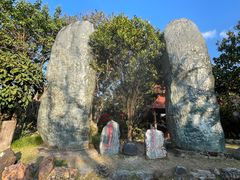 -云南勐巴娜西珍奇园