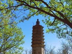 -北京鹫峰国家森林公园