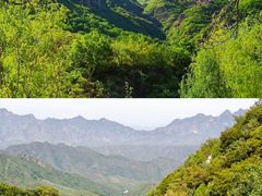 -雾灵西峰