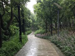 -上海市保健医疗中心