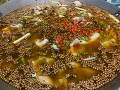 -麻小度青花椒鱼(安德总店)