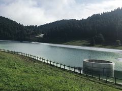 -武陵山森林公园