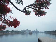 -龙舟池