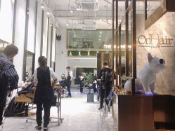 点击看大图 -OnHair Salon