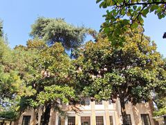 -南京中国近代史遗址博物馆(南京总统府)