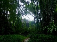 android_upload_pic-望江楼公园