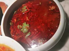 -雀蓝川菜(奥体广场店)