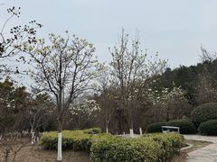 -浮山香苑