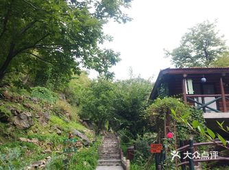 顶多在️床旗的地方趴一下。后山小狗可以去玩