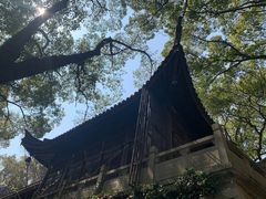 -宁波市保国寺古建筑博物馆